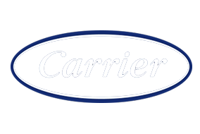Carrier